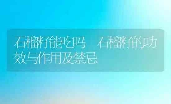 石榴籽能吃吗 石榴籽的功效与作用及禁忌 | 养殖资料投稿