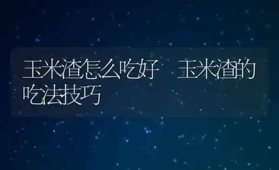 玉米渣怎么吃好 玉米渣的吃法技巧 | 养殖资料投稿