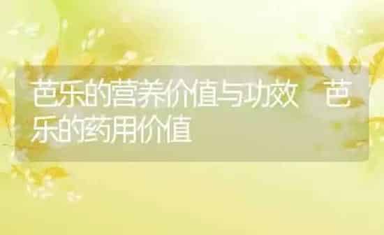 芭乐的营养价值与功效 芭乐的药用价值 | 养殖资料投稿