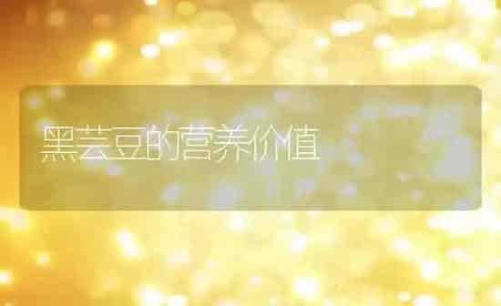 黑芸豆的营养价值 | 养殖资料投稿