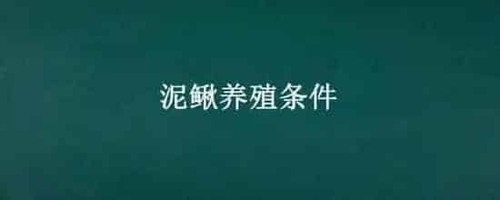泥鳅养殖条件