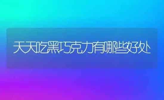 天天吃黑巧克力有哪些好处 | 养殖资料投稿