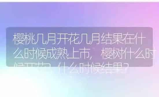 樱桃几月开花几月结果在什么时候成熟上市,樱树什么时候开花?什么时候结果？ | 养殖常见问题