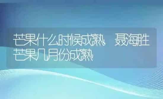 芒果什么时候成熟,聂海胜芒果几月份成熟 | 养殖常见问题