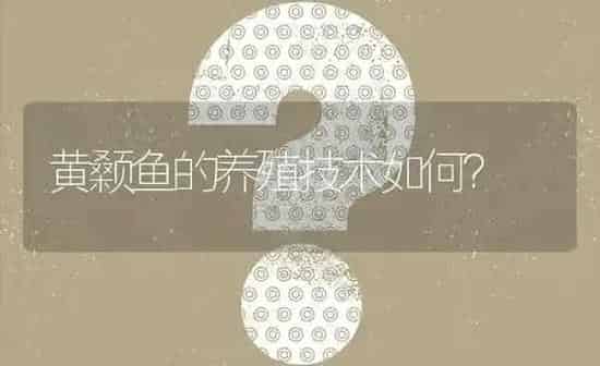 黄颡鱼的养殖技术如何? | 养殖问题解答