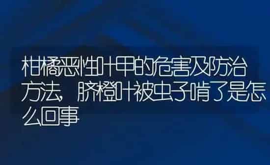 夏威夷果原产地在哪里,夏威夷果是什么果实 | 养殖常见问题