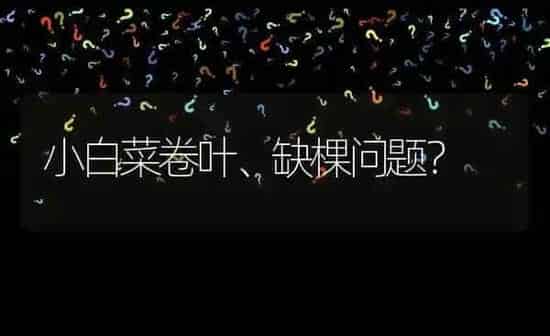 小白菜卷叶、缺棵问题? | 养殖问题解答