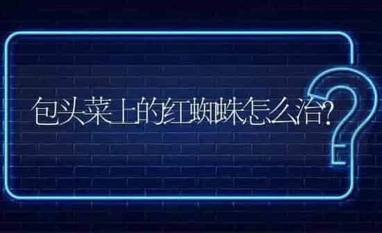 包头菜上的红蜘蛛怎么治? | 养殖问题解答