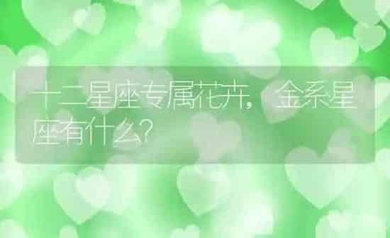 十二星座专属花卉,金系星座有什么？ | 养殖常见问题