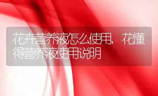 花卉营养液怎么使用,花懂得营养液使用说明 | 养殖常见问题