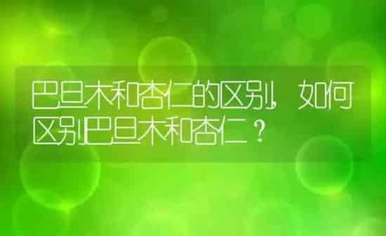 巴旦木和杏仁的区别,如何区别巴旦木和杏仁？ | 养殖常见问题