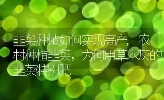 韭菜种植如何实现高产,农村种植韭菜,为何用草木灰的韭菜特别肥 | 养殖常见问题