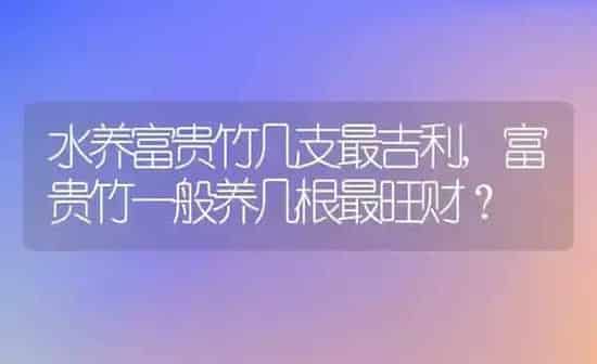 水养富贵竹几支最吉利,富贵竹一般养几根最旺财? | 养殖常见问题
