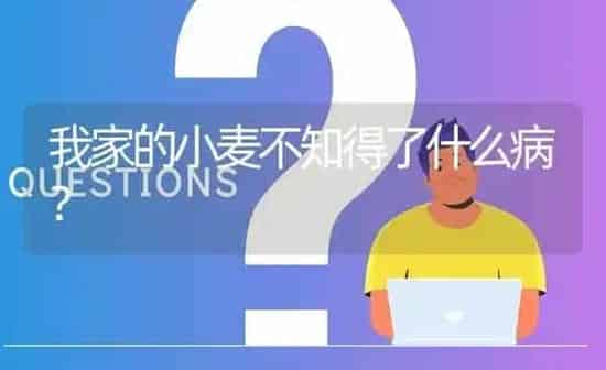 我家的小麦不知得了什么病? | 养殖问题解答