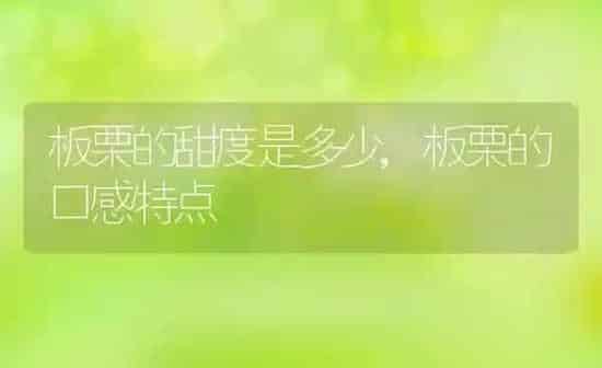 板栗的甜度是多少,板栗的口感特点 | 养殖常见问题