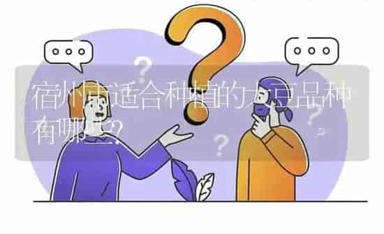 宿州市适合种植的大豆品种有哪些? | 养殖问题解答