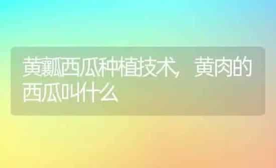 大蒜种植方法步骤及技术管理要点介绍,幼儿园种植大蒜的方法与管理 | 养殖常见问题