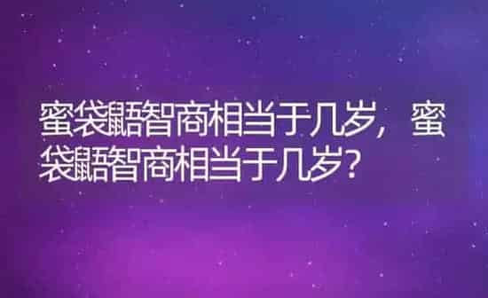 蜜袋鼯智商相当于几岁,蜜袋鼯智商相当于几岁？ | 养殖常见问题