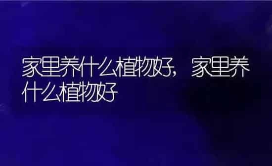 家里养什么植物好,家里养什么植物好 | 养殖常见问题