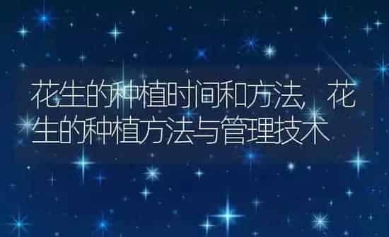 花生的种植时间和方法,花生的种植方法与管理技术 | 养殖常见问题