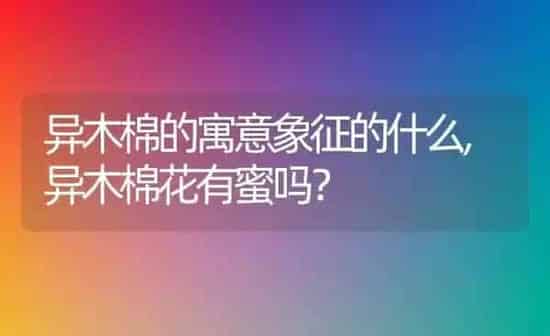 异木棉的寓意象征的什么,异木棉花有蜜吗？ | 养殖常见问题