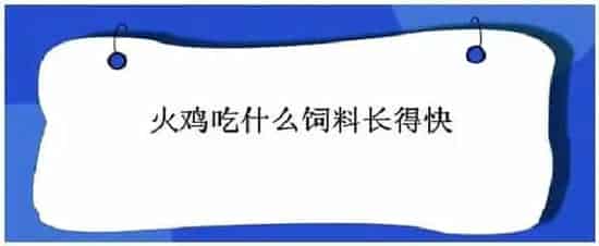 火鸡吃什么饲料长得快 | 农业问题