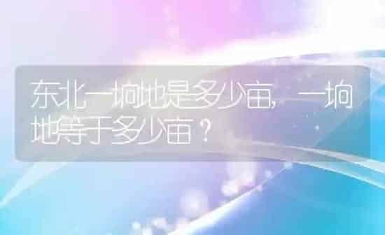 东北一垧地是多少亩,一垧地等于多少亩？ | 养殖常见问题