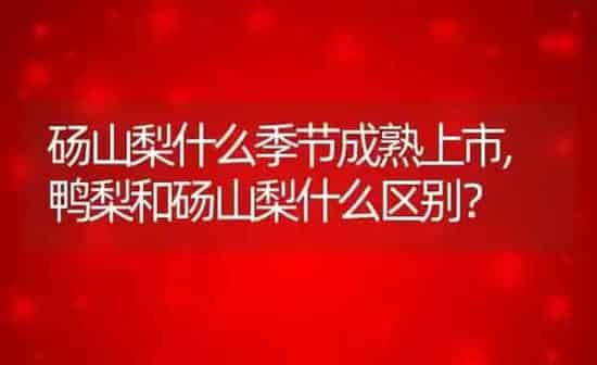 砀山梨什么季节成熟上市,鸭梨和砀山梨什么区别？ | 养殖常见问题