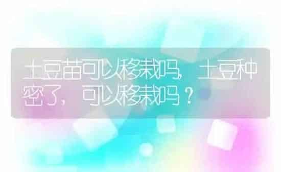 土豆苗可以移栽吗,土豆种密了,可以移栽吗？ | 养殖常见问题