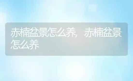 赤楠盆景怎么养,赤楠盆景怎么养 | 养殖常见问题