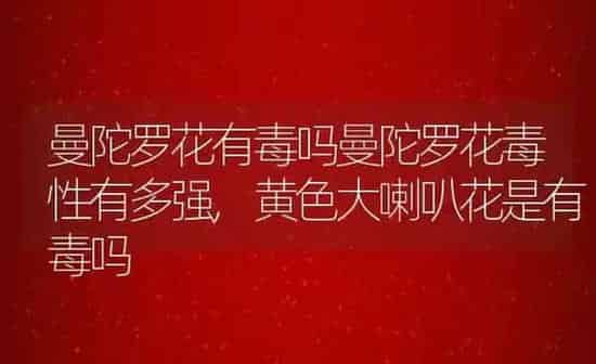 曼陀罗花有毒吗曼陀罗花毒性有多强,黄色大喇叭花是有毒吗 | 养殖常见问题