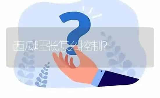 西瓜旺张怎么控制? | 养殖问题解答
