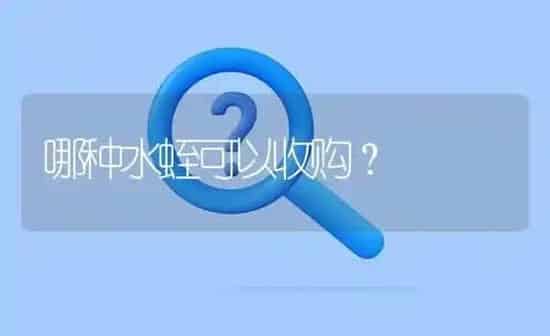 哪种水蛭可以收购? | 养殖问题解答