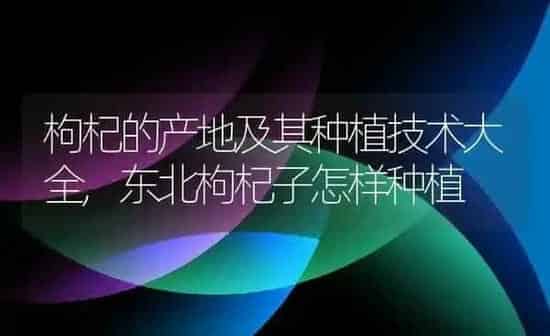 枸杞的产地及其种植技术大全,东北枸杞子怎样种植 | 养殖常见问题