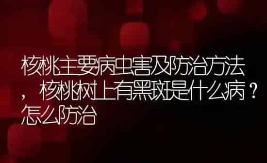 核桃主要病虫害及防治方法,核桃树上有黑斑是什么病？怎么防治 | 养殖常见问题