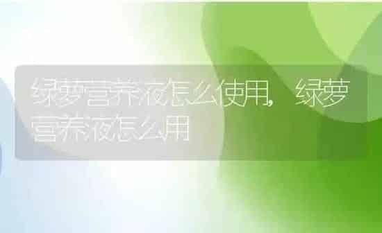 绿萝营养液怎么使用,绿萝营养液怎么用 | 养殖常见问题
