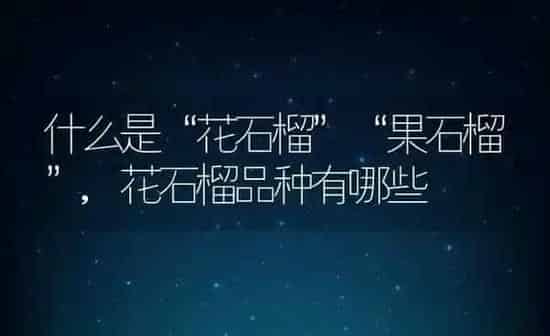什么是“花石榴”“果石榴”,花石榴品种有哪些 | 养殖常见问题