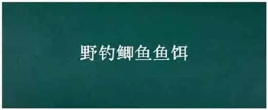 野钓鲫鱼鱼饵 | 生活常识