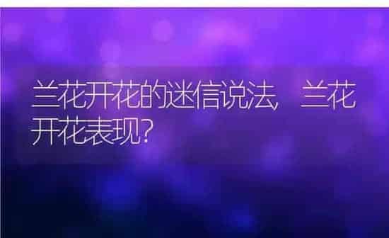 兰花开花的迷信说法,兰花开花表现？ | 养殖常见问题