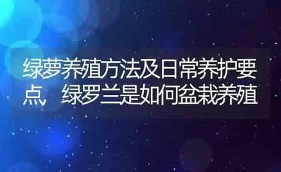 绿萝养殖方法及日常养护要点,绿罗兰是如何盆栽养殖 | 养殖常见问题