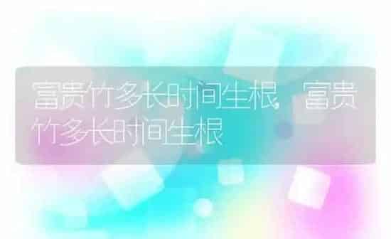 富贵竹多长时间生根,富贵竹多长时间生根 | 养殖常见问题