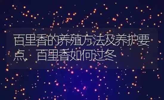 百里香的养殖方法及养护要点,百里香如何过冬 | 养殖常见问题