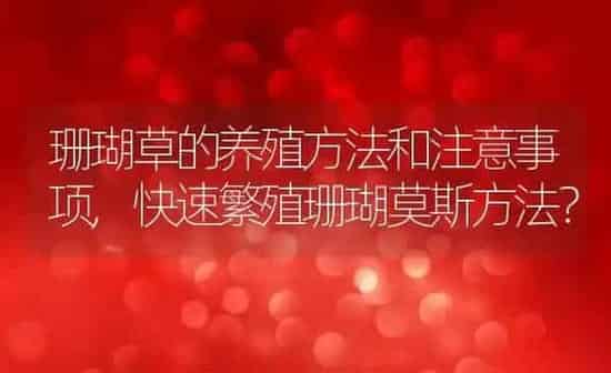 珊瑚草的养殖方法和注意事项,快速繁殖珊瑚莫斯方法？ | 养殖常见问题