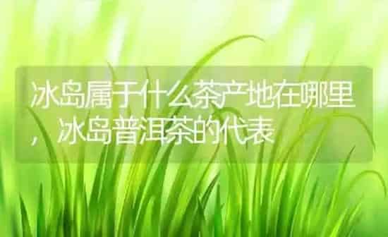 韭菜是热性还是凉性,韭菜是热性还是凉性 | 养殖常见问题