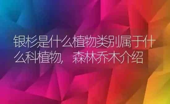 日本椿花的花语,春树是什么树? | 养殖常见问题