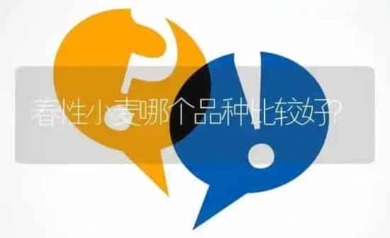 春性小麦哪个品种比较好? | 养殖问题解答