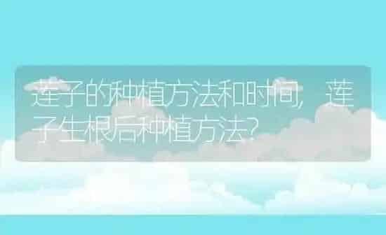 莲子的种植方法和时间,莲子生根后种植方法? | 养殖常见问题