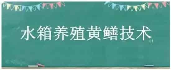 水箱养殖黄鳝技术 | 科普知识