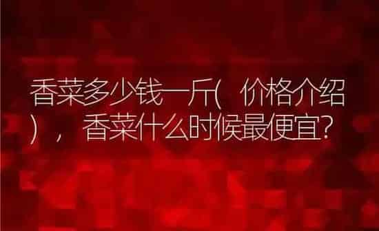 香菜多少钱一斤(价格介绍),香菜什么时候最便宜？ | 养殖常见问题