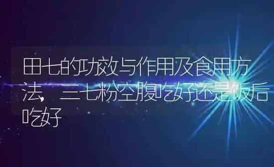 田七的功效与作用及食用方法,三七粉空腹吃好还是饭后吃好 | 养殖常见问题